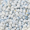 Baking Paint Glass Seed Beads SEED-F006-01A-02-3