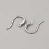 Brass Earring Hooks KK-WH0001-19P-1