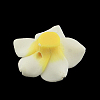 Handmade Polymer Clay 3D Flower Plumeria Beads CLAY-Q192-15mm-14-2