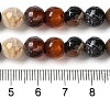 Dyed & Heated Natural Fire Crackle Agate Beads Strands G-P539-B01-08-5