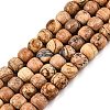 Natural Picture Jasper Beads Strands G-T138-140-4