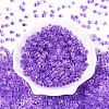 Transparent Inside Colours Glass Seed Beads SEED-T007-11B-1