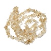 Natural Citrine Beads Strands G-F771-B02-01-3