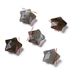 Natural Labradorite Charms G-H241-04C-1