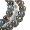 Grade AA Natural Gemstone Labradorite Round Beads Strands G-E251-33-6mm-01-5