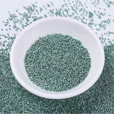 MIYUKI Delica Beads SEED-X0054-DB0416-1
