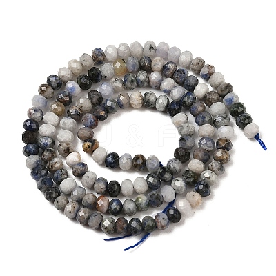 Natural Blue Spot Jasper Beads Strands G-D347-B06-1