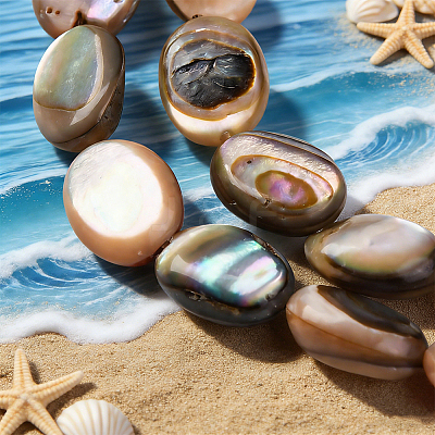 2 Strands Natural Paua Shell Beads Strands BSHE-PA0001-09-1