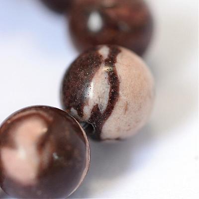 Natural Zebra Jasper Round Bead Strands G-E334-10mm-12-1