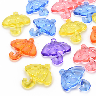 Transparent Acrylic Pendants TACR-T024-01B-1