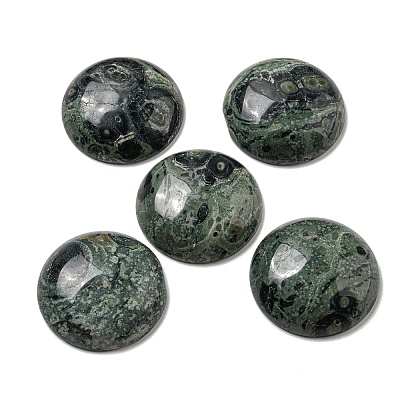 Natural Kambaba Jasper Cabochons G-C115-02B-24-1
