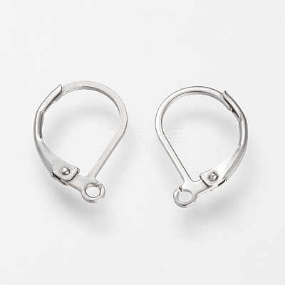 Tarnish Resistant 304 Stainless Steel Leverback Earring Findings X-STAS-S066-13-1