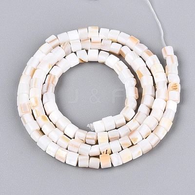 Natural Freshwater Shell Beads Strands SHEL-N027-09A-1