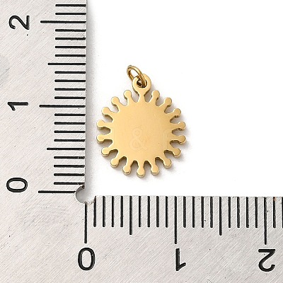 304 Stainless Steel Charms STAS-K263-06G-02-1