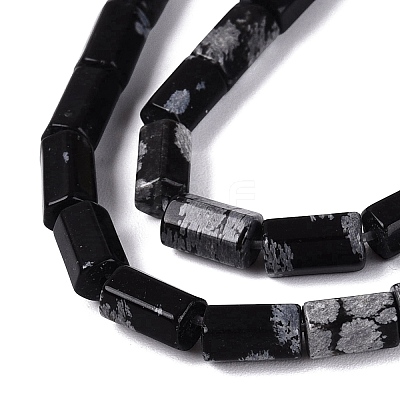 Natural Snowflake Obsidian Beads Strands GG-N002-01A-05-1