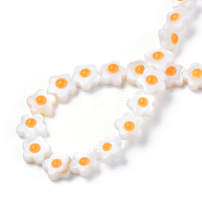 Natural Freshwater Shell Beads Strands SHEL-N003-31A-01-1