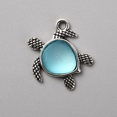 Tibetan Style Alloy Pendants FIND-WH0050-01B-1