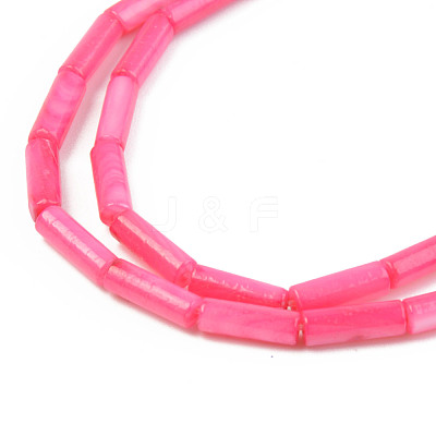 Natural Freshwater Shell Beads Strand SHEL-T017-40B-1