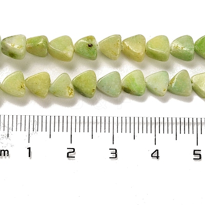 Natural Dolomite Beads Strands G-F765-H04-01-1