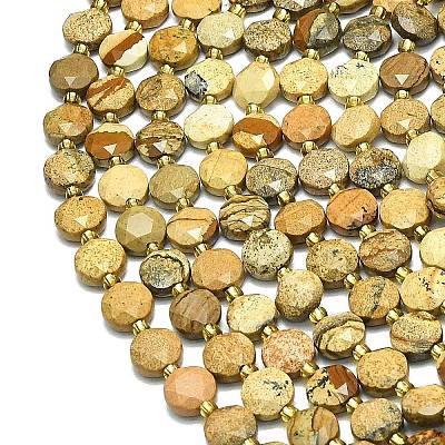 Natural Picture Jasper Beads Strands G-C116-A67-02-1
