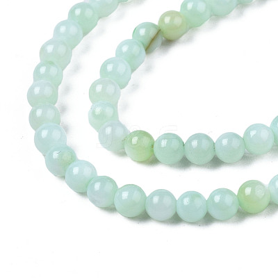 Natural Freshwater Shell Beads Strands BSHE-T009A-01D-1