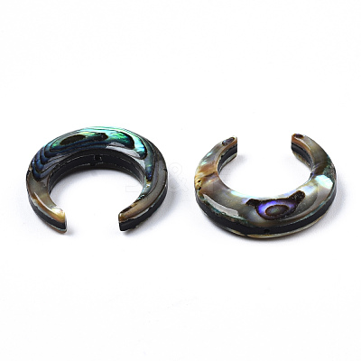 Natural Abalone Shell/Paua Shell Beads SSHEL-N034-122A-01-1