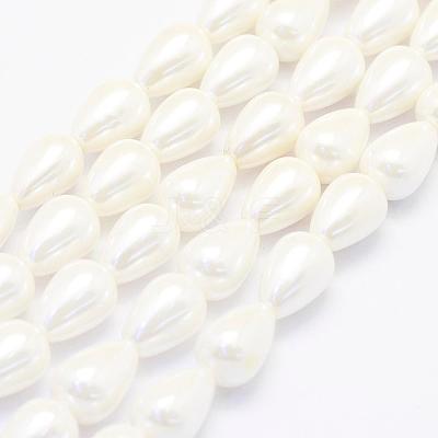 Shell Pearl Beads Strands BSHE-P024-02-1
