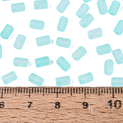FGB Frosted Transparent Glass Seed Beads SEED-N013-05A-10-1