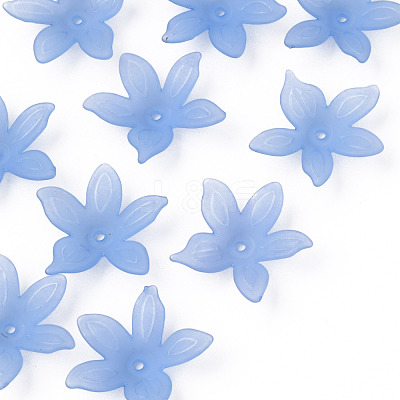 Transparent Acrylic Beads MACR-S373-127-D04-1