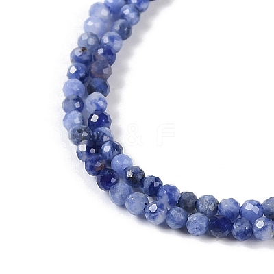 Natural Sodalite Beads Strands X-G-G139-A07-02-1
