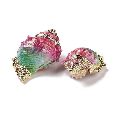 Spray Painted Natural Spiral Shell Pendants SSHEL-C011-02-1