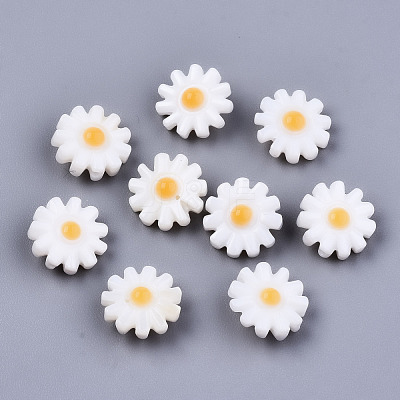 Natural Freshwater Shell Beads SHEL-S266-14A-1