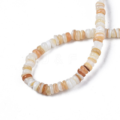 Natural Freshwater Shell Beads Strands SHEL-S278-067-1