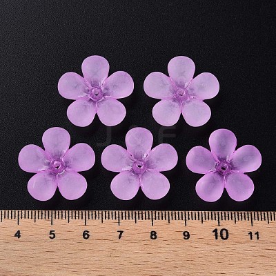 Transparent Acrylic Beads MACR-S373-116-D04-1