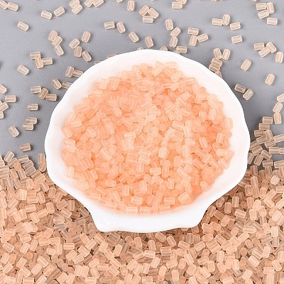 FGB Frosted Transparent Glass Seed Beads SEED-N013-05A-03-1