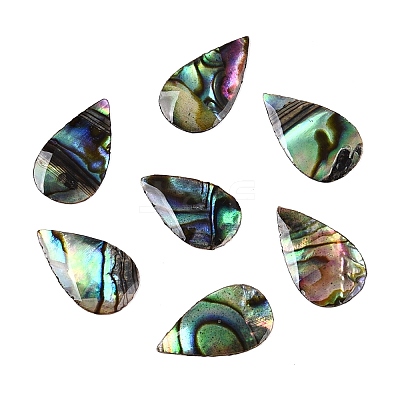 Natural Paua Shell Teardrop Cabochons SSHEL-T017-12-1