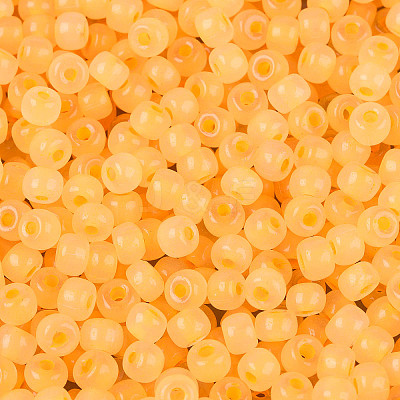 6/0 Transparent Inside Colours Glass Seed Beads SEED-N008-08S-1