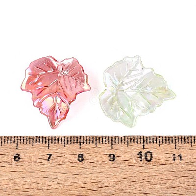 Transparent Acrylic Pendants OACR-N149-02-1