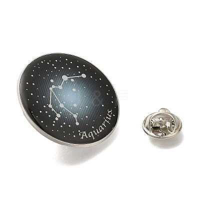 Twelve Constellation Creative Alloy Badges Constellation Brooches JEWB-S033-01P-K-1