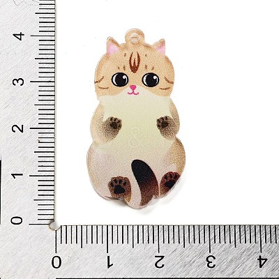 Acrylic Pendants LS-OACR-B023-01B-06-1