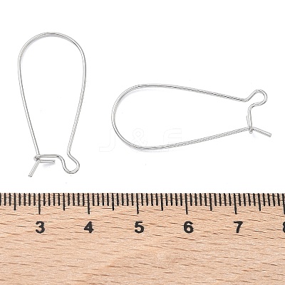 SHEGRACE Brass Kidney Ear Wire XGR0004P-43P-1