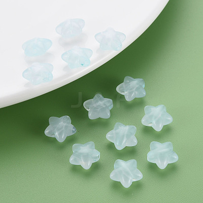 Transparent Acrylic Beads MACR-S373-26E-07-1