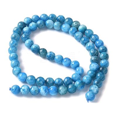 Natural Apatite Beads Strands G-I254-08H-1