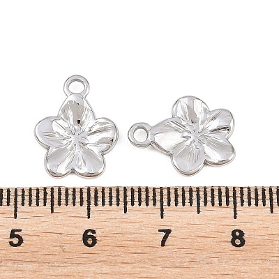 304 Stainless Steel Charms STAS-L317-02P-1