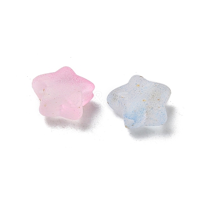 Frosted Acrylic Charms OACR-M023-04G-1