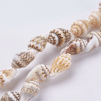 Natural Sea Shell Beads Strands BSHE-K012-07-1
