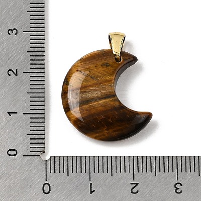 Natural Tiger Eye Pendants G-A297-02G-04-1