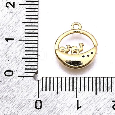 Brass Micro Pave Clear Cubic Zirconia Pendants LS-KK-G530-01B-G-1