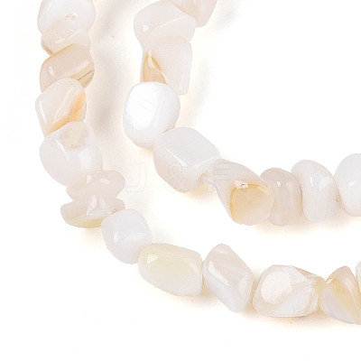 Natural Freshwater Shell Beads Strands SHEL-N038-06A-1