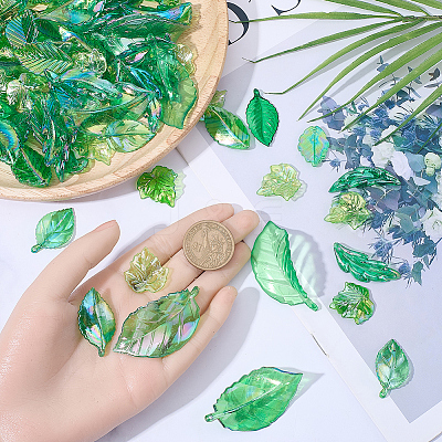 100G Transparent Acrylic Pendants TACR-BM0001-06-1